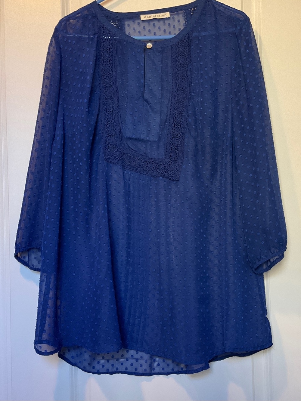 Daniel Rainn Cobalt Swiss Dot Lace-Trim Blouse
